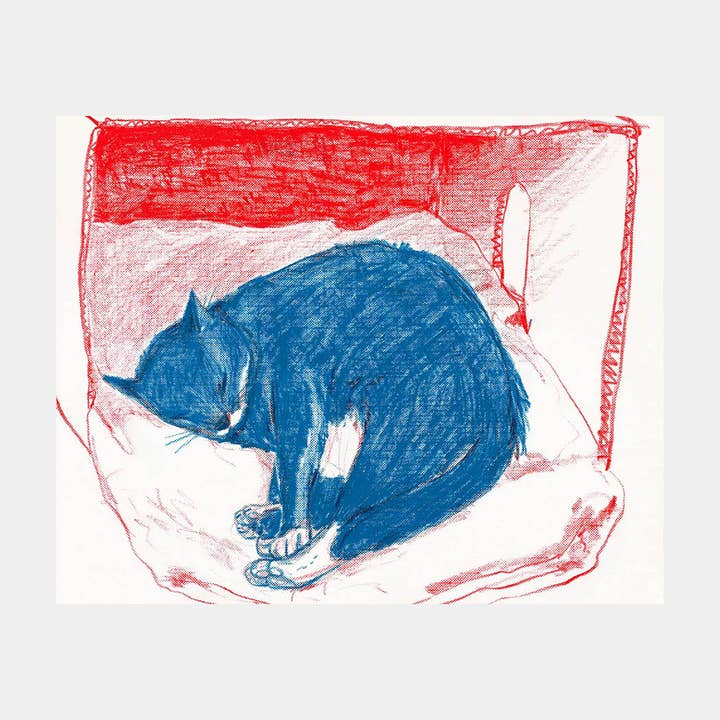 Rebekah Evans Art - Wholesale Art Print - Print - "Pepper in His Box"