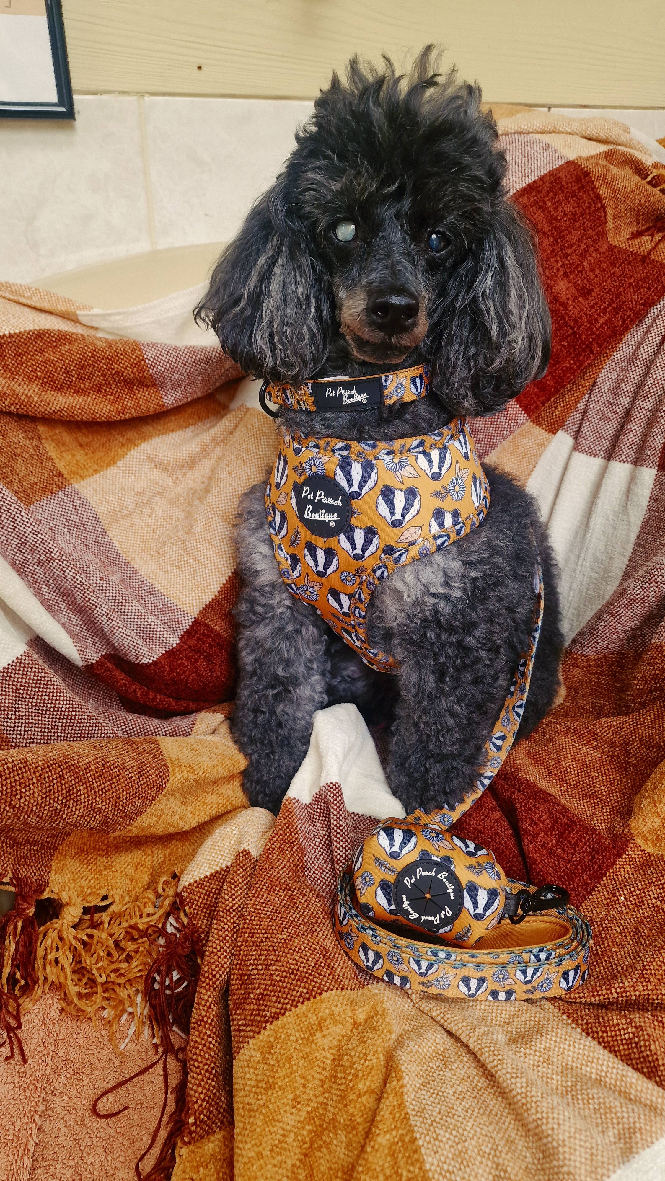 Pet Pooch Boutique – wholesale Pet harness – Dog – Woodland Badger Puppy Dog Harness (Autumn/mustard yellow)4