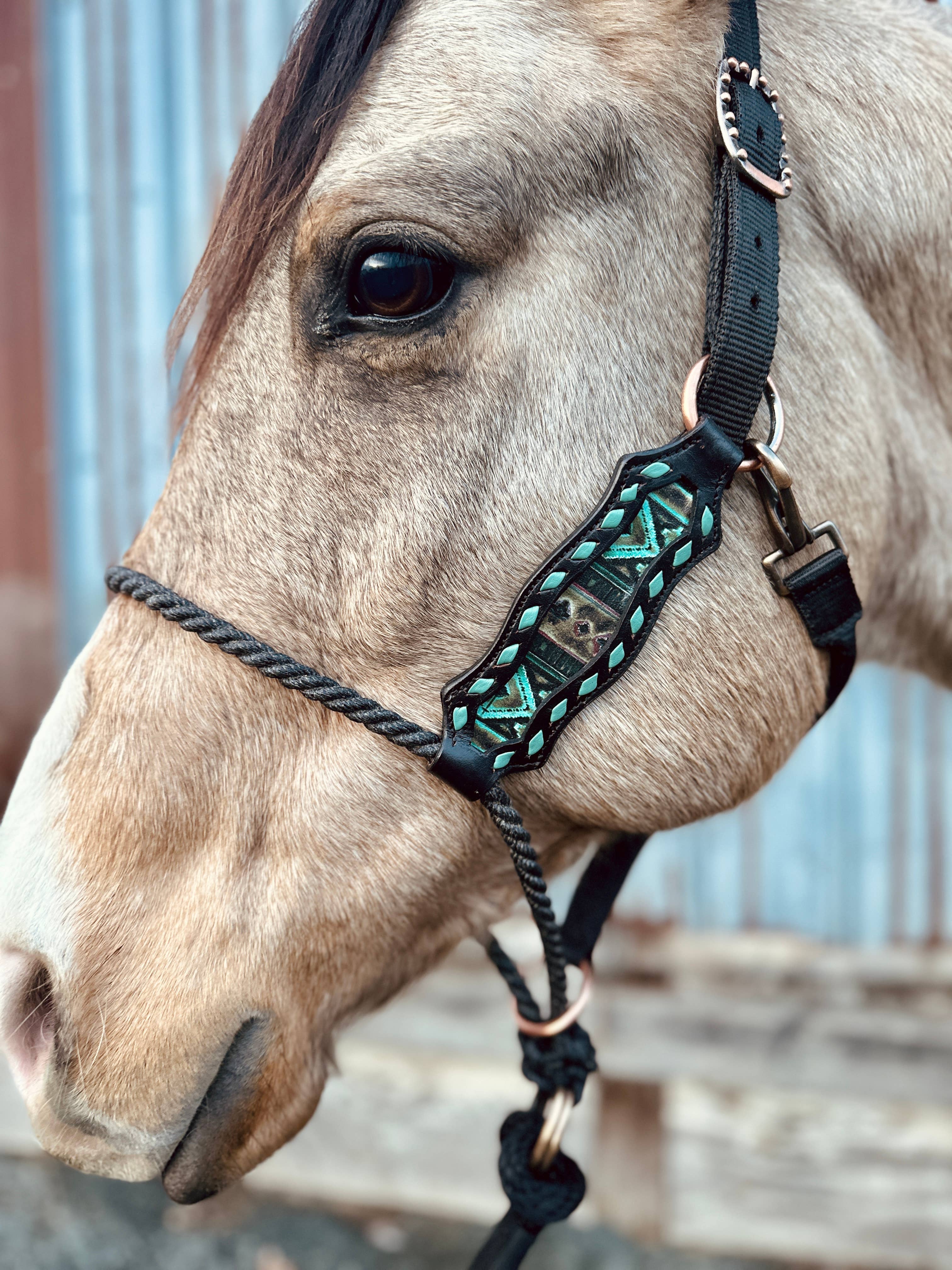 Schulz Equine - Wholesale Horseback Riding Gear - Lariat Nose Halter14