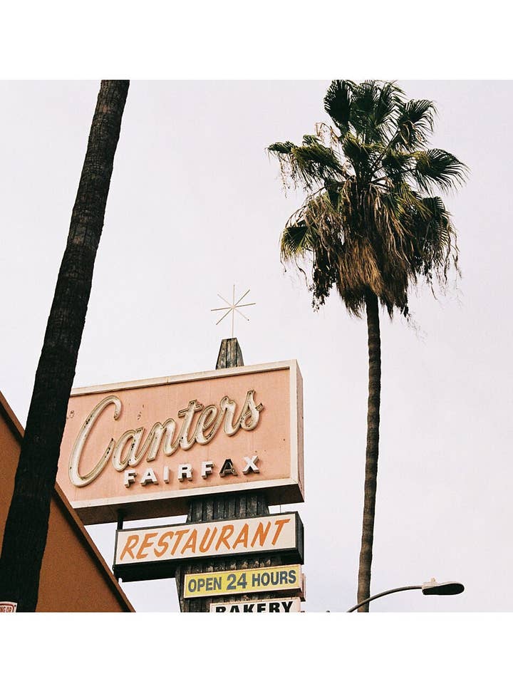 Canters pour la vente par Janolo