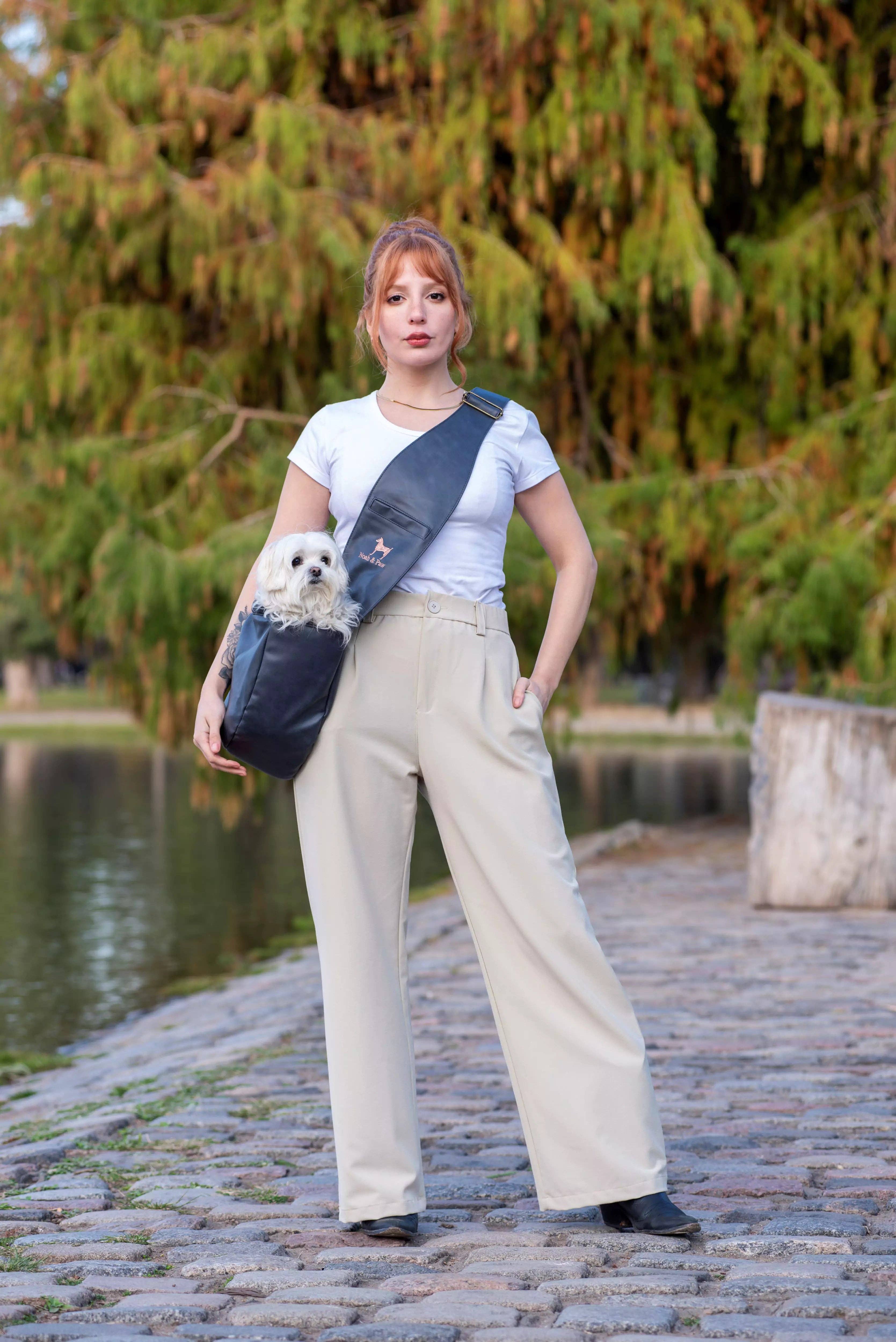 NOAH AND PAW LLC - Vente Caisse de transport – chat et chien - Porte-animal en bandoulière en cuir vegan avec triple sécurité4