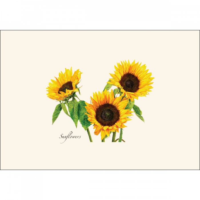 Earth Sky + Water - Wholesale Stationery/Notecard Set - 3 Sunflowers Notecard Set1