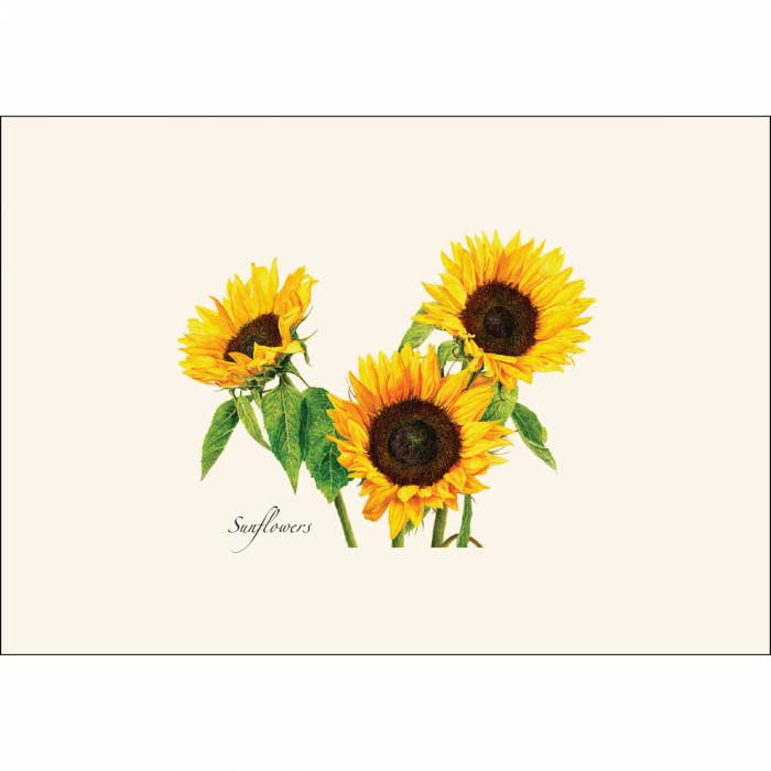 Earth Sky + Water - Wholesale Stationery/Notecard Set - 3 Sunflowers Notecard Set1
