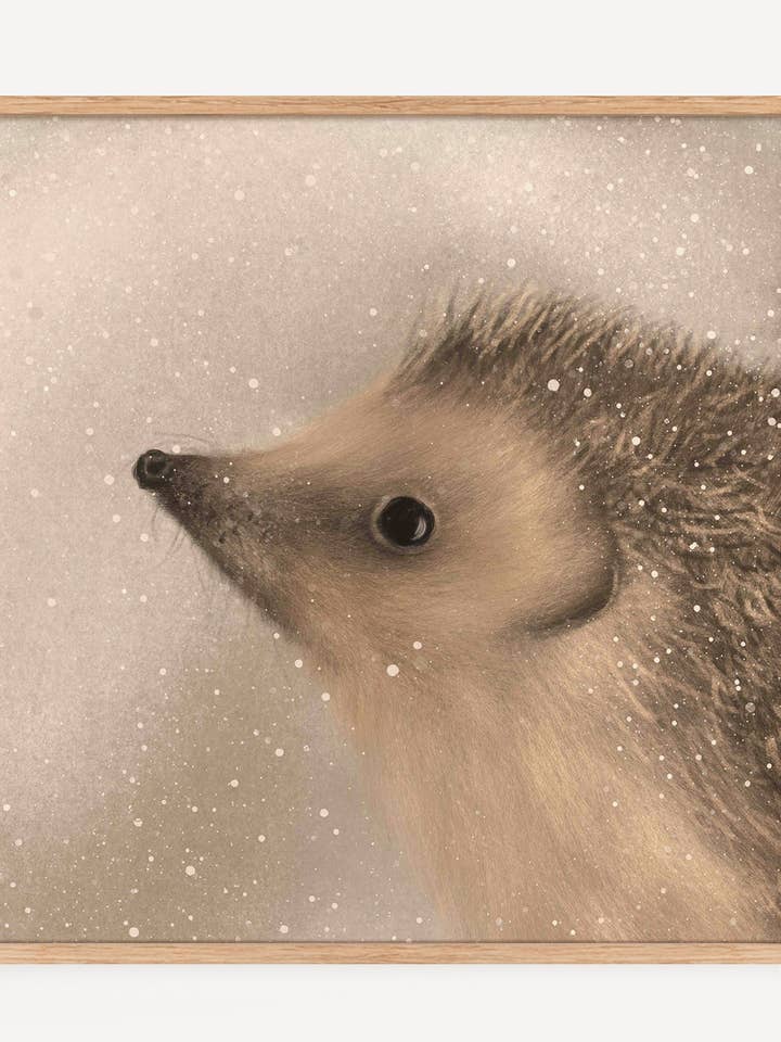 Hedgehog Square Print for wholesale by Jo Couch