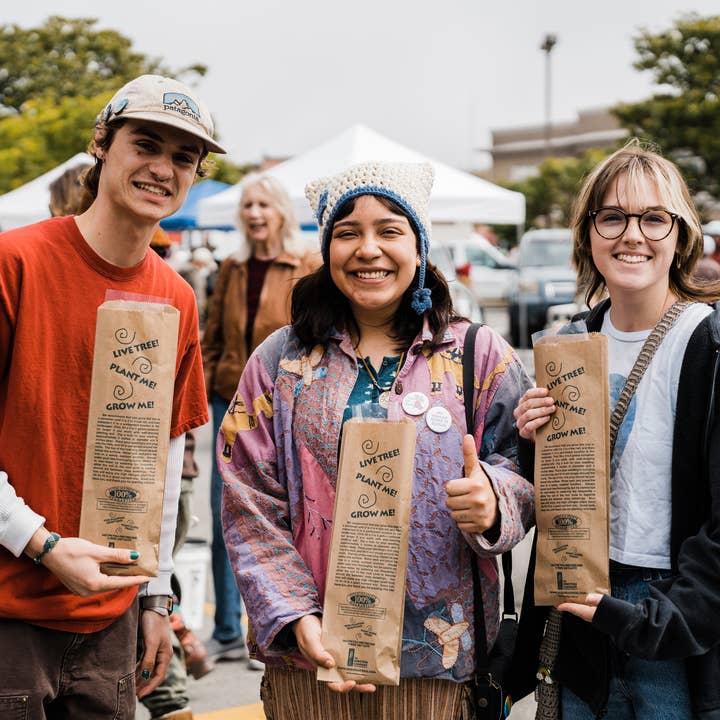 The Jonsteen Company - Wholesale Plant Seeds - Kraft Bag Seedlings6