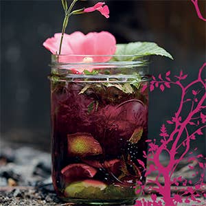 Jim Dandy Gift Books - Wholesale Mixology & Beverage - Witchy Cocktails4