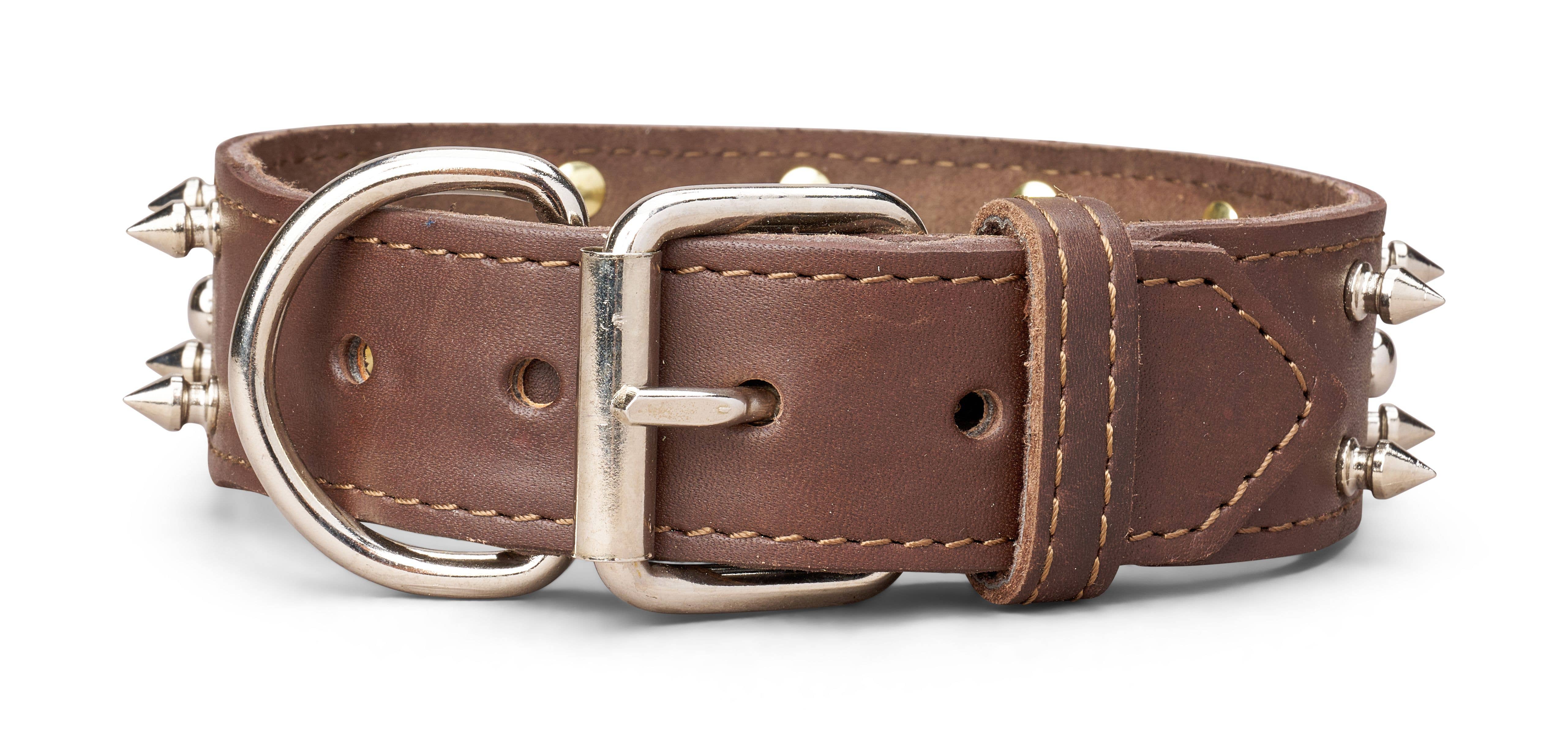 TOP DOG BRAND INC - Vente Collier – chien - Colliers en cuir à pointes de 1 3/4 pouce de large3