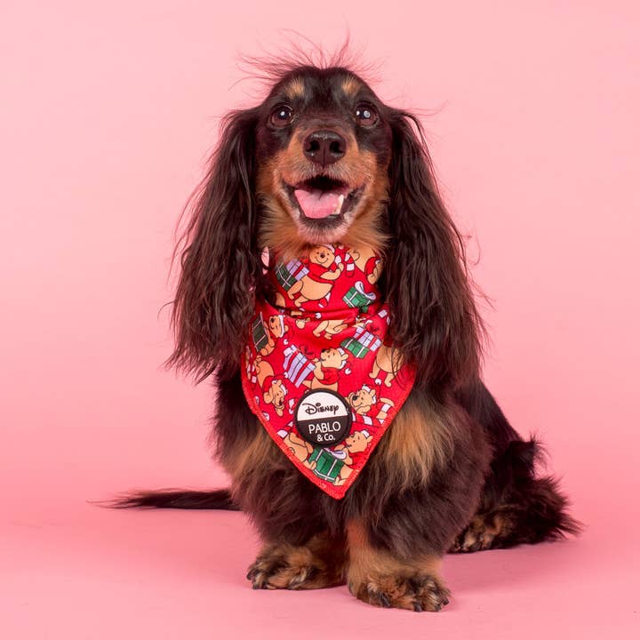 Pablo & Co. Boutique - Venta al por mayor Bandana - Perros - Navidad de Winnie the Pooh: pañuelo para perro