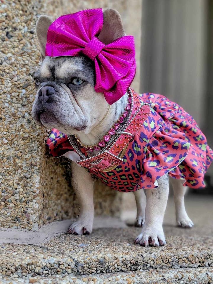 ROBE SABRINA pour la vente par Maxine Avenue NYC by Funari