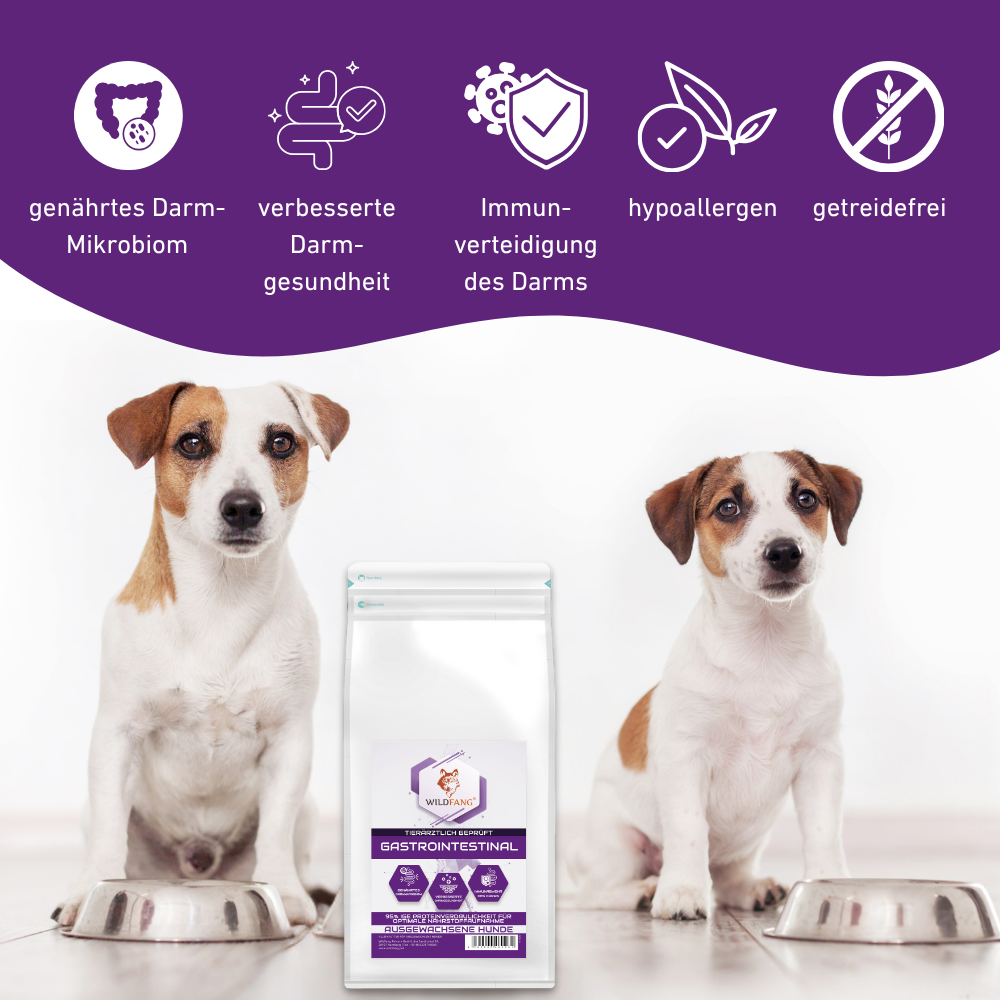 WILDFANG - Vente Nourriture – chien - VetLine croquettes avec peptides pour chiens - Gastro-intestinal2