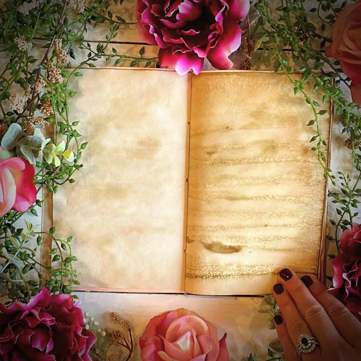 NOMAD Moon Magic - Vendita all'ingrosso Diari/agende - Diario estetico vintage fatto a mano, Witchy Death Moth Moon6