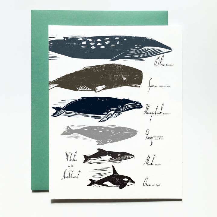 Loaded Hips Press - Wholesale Everyday Greeting Card - Whales in the Pacific NW blank greeting card