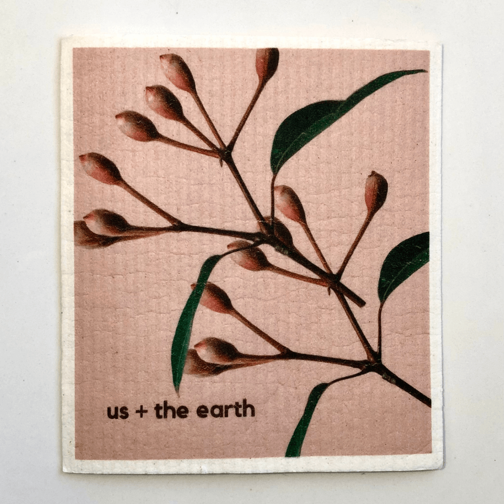 Us and The Earth - Wholesale Dishcloth - Washable Swedish Sponges - Set of 59