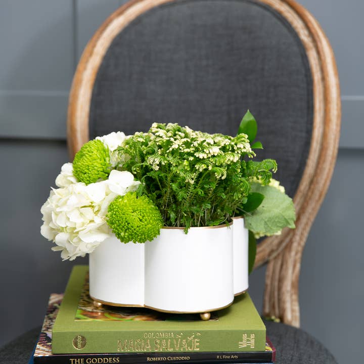 Jaye's Studio - Wholesale Plant Pot - Mattie Quatrefoil Cachepot Planter10