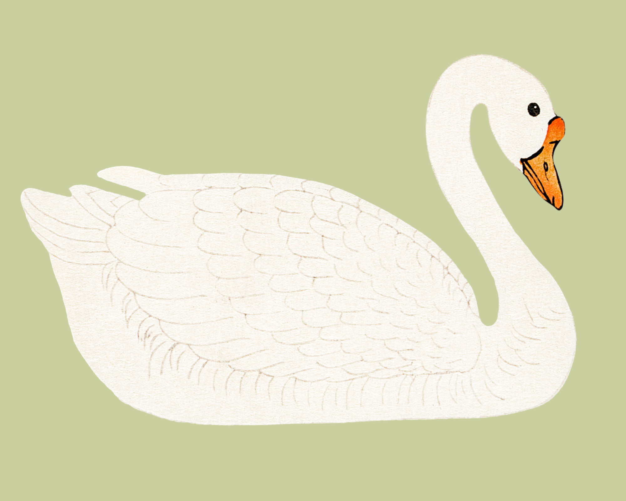 Sea to Skye - Wholesale Art Print - A Swan Antique Art Print (Green)1