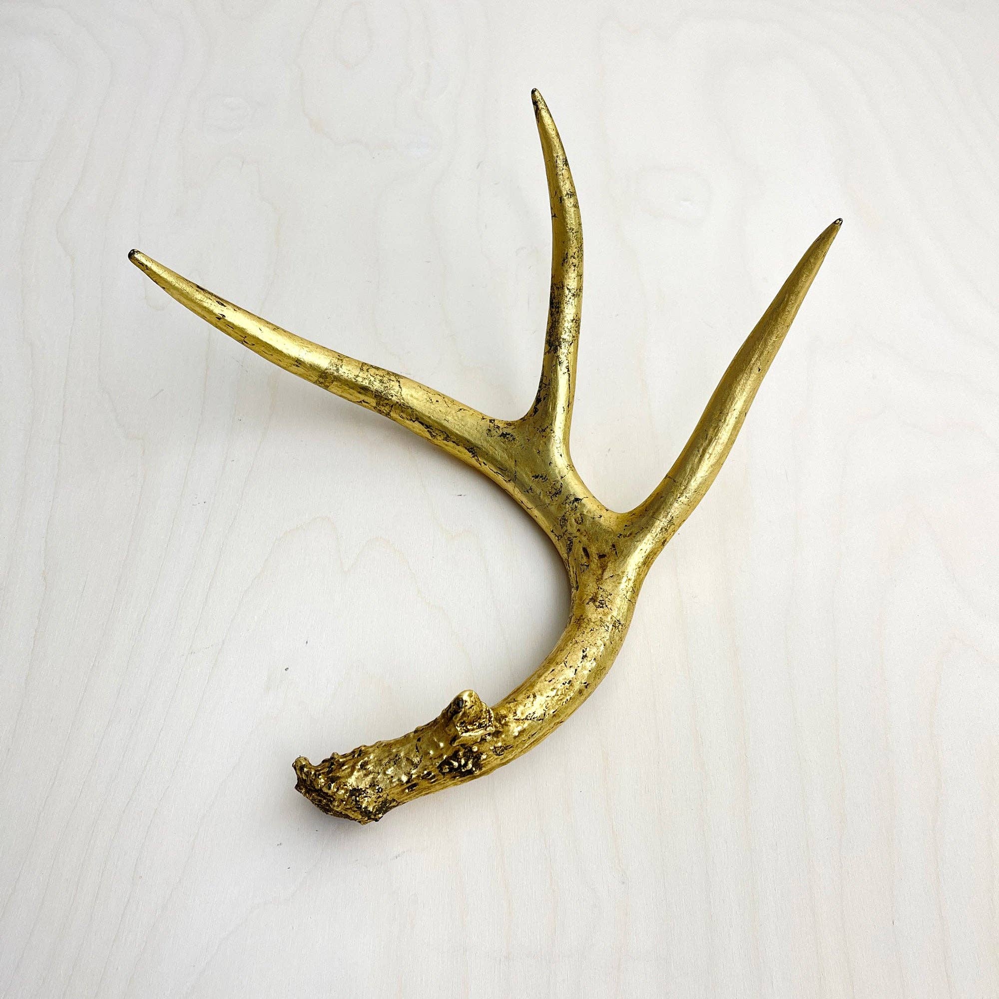 Farmhaus + Co. - Wholesale Decorative Tabletop Object - Antler Accents - Gilded7