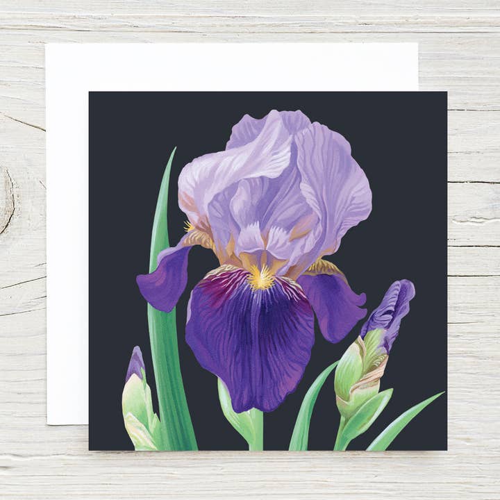 Brook Isle - Wholesale Everyday Greeting Card - Iris Gift Card0