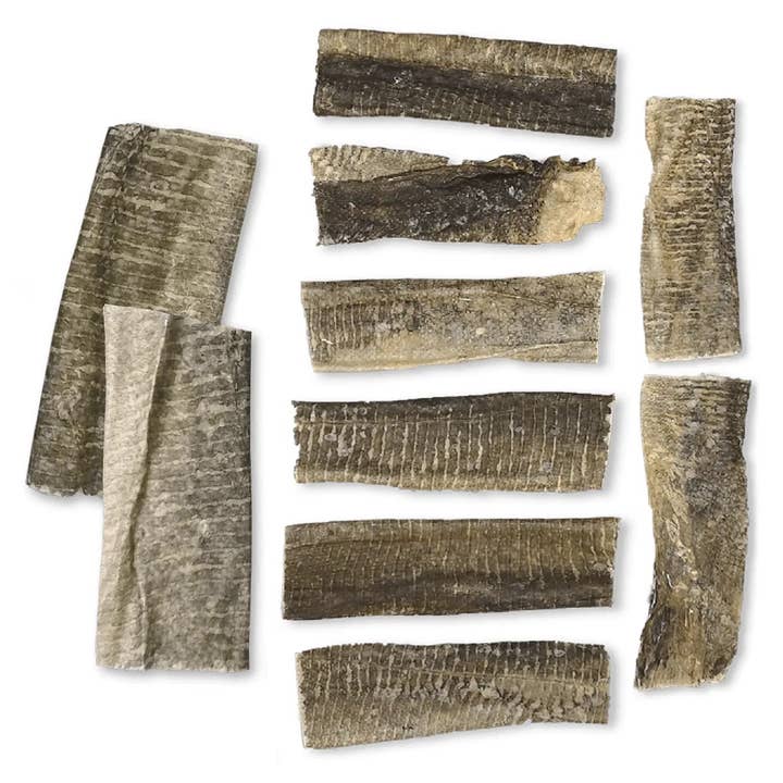 Goodchap's - Vendita all'ingrosso Snack - Cani - Ricarica in Barattolo | Pesce Bianco Essiccato1