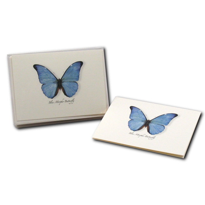 Earth Sky + Water - Wholesale Stationery/Notecard Set - Blue Morpho Butterfly2