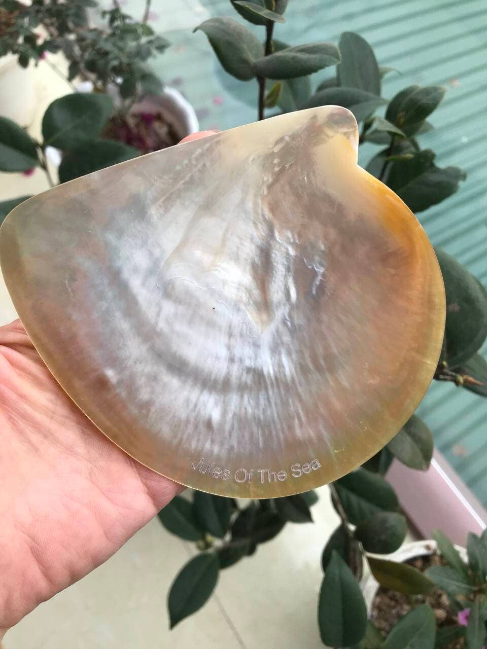 Hala Design - Wholesale Serving Plate - Mother of Pearl Plate & Spoon Caviar Set, Caviar Set7