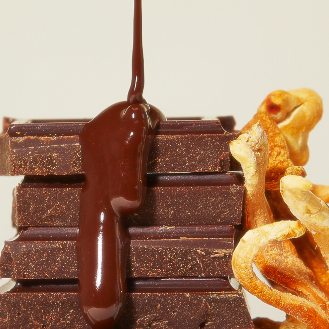 Fruiting Bodies - Wholesale Chocolate Bar - Lion's Mane Dark Chocolate2