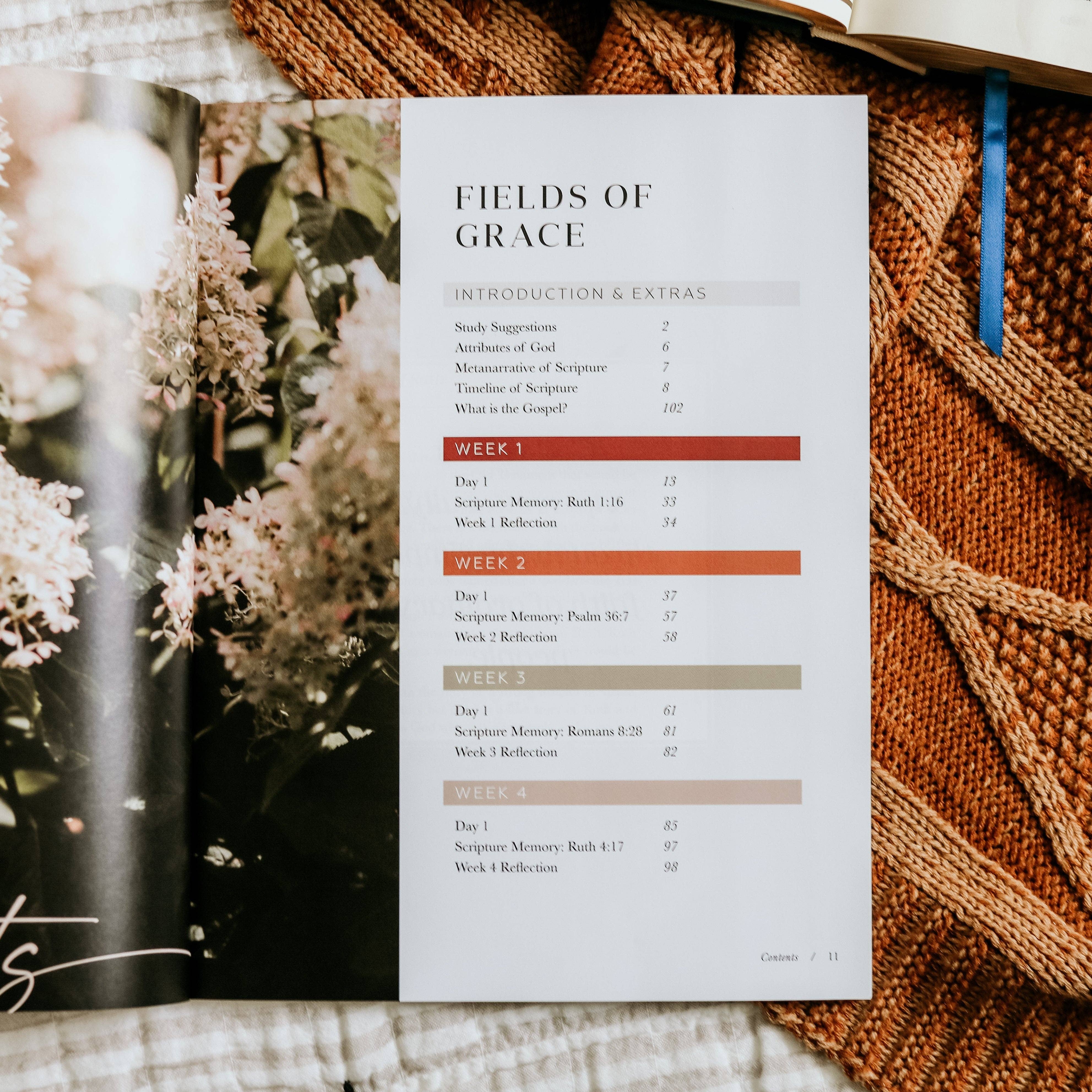 The Daily Grace Co - Wholesale Religion - Ruth Study | Fields of Grace2