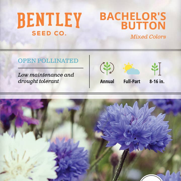 Bentley Seed Co. - Vente Graines de plantes - Paquets de graines de fleurs de bleuet