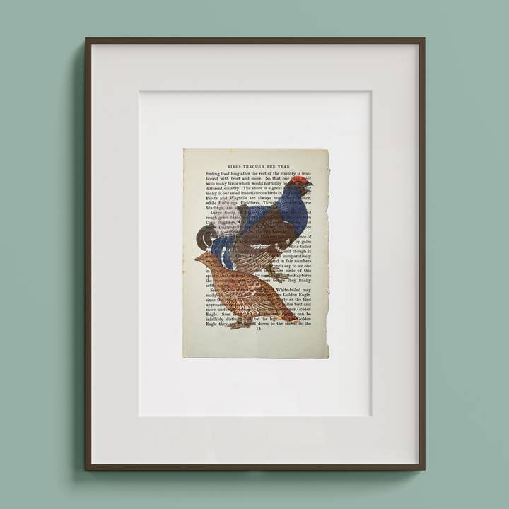 Grouse Vintage Book Page A4 Art Print for wholesale by Hands & Hearts