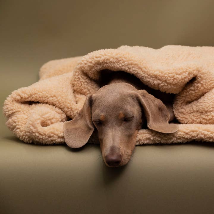 Trimmi – Engroshandel Seng - Hund – Teddy kram sovepose beige4