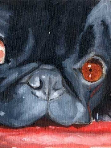 Carlin, joli carlin noir, impression d'art pour chien pour la vente par Brian Rubenacker studios