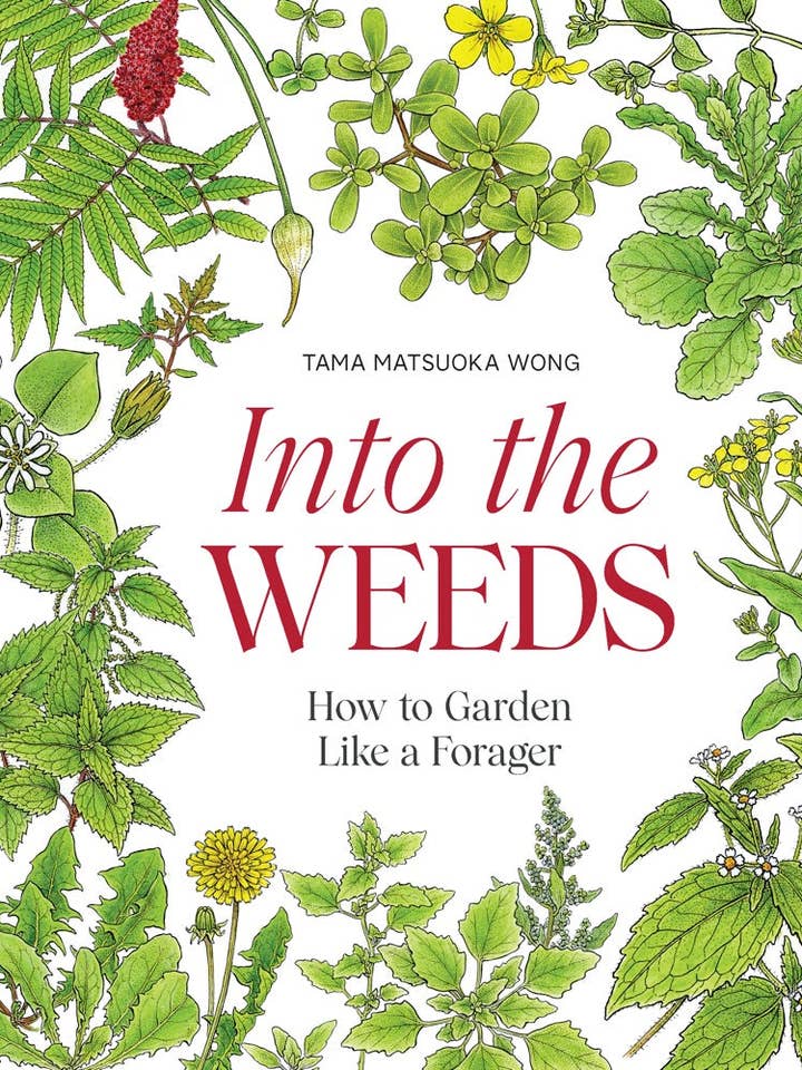Into the Weeds for wholesale by Chronicle Books