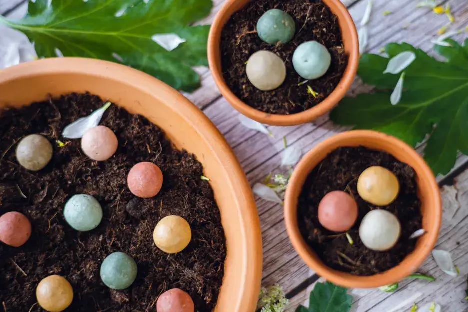 Favou - Wholesale Plant Seeds - Seed Bombs - Flowers - Blossombs in a bottle 2