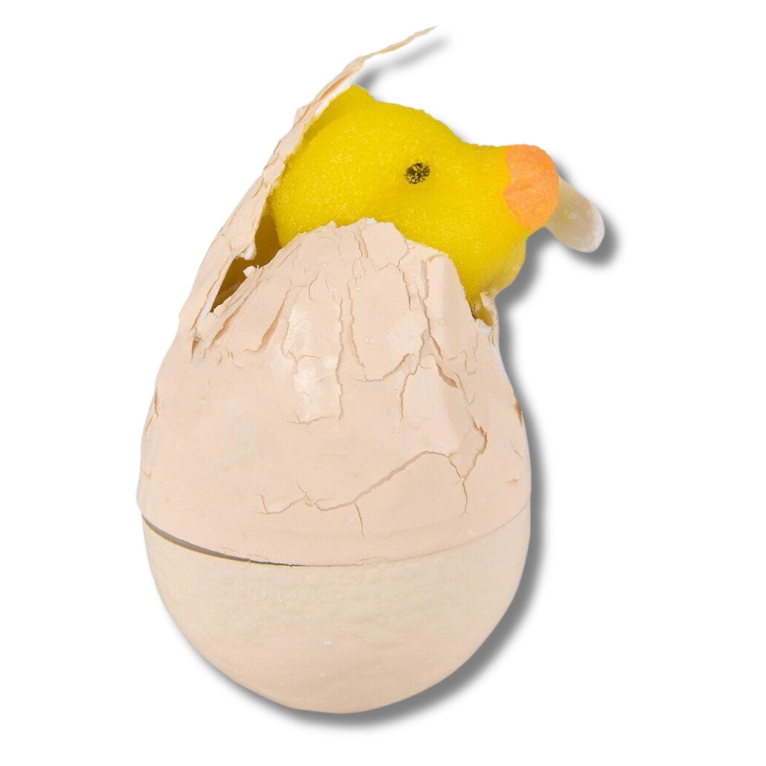 JSBlueRidge Toys - Wholesale Fidget Toy - Kids - Small Hatch & Grow Chick Egg Kids Toy2