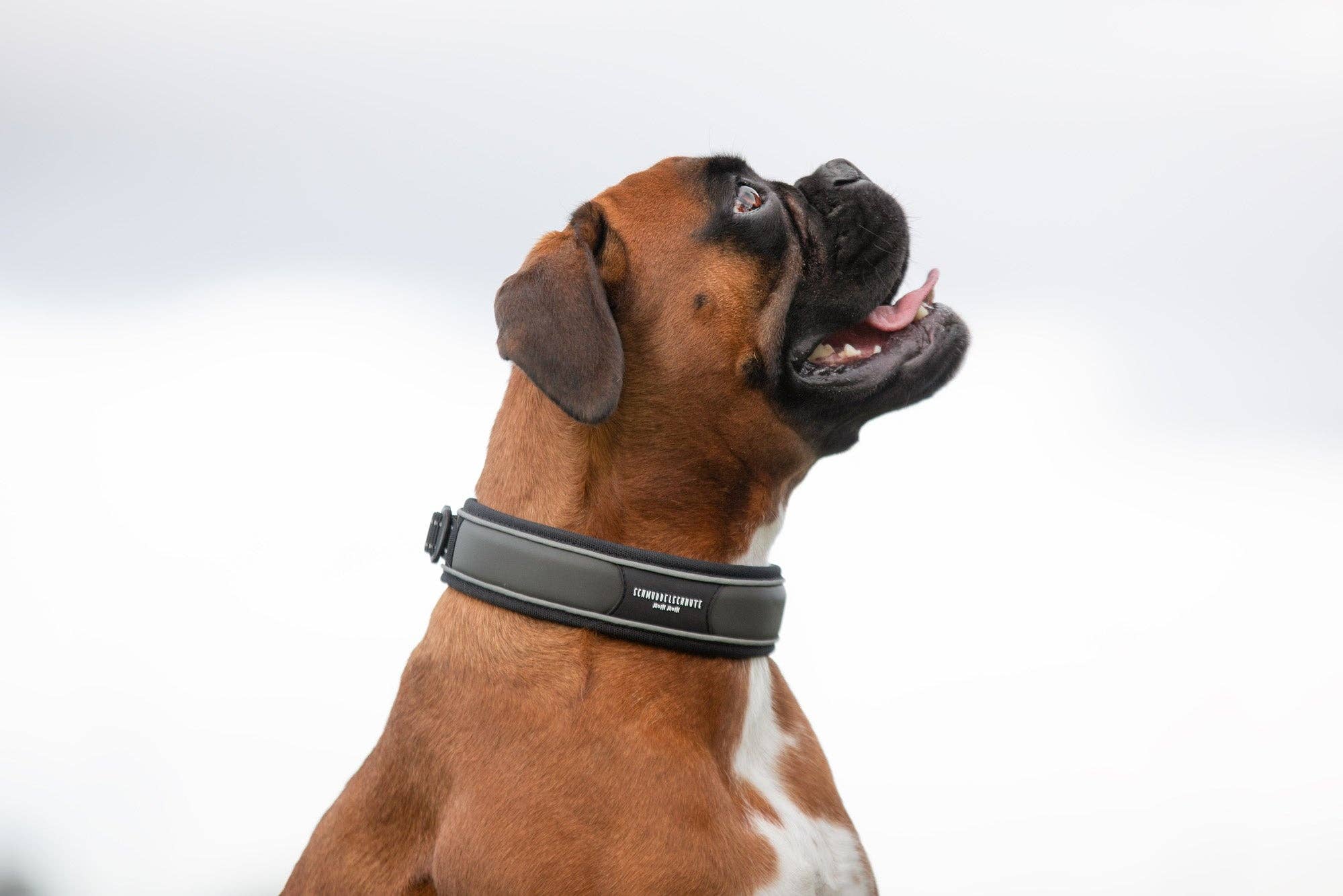 Schmuddelschnute - Wholesale Pet Collar - Dog - Dog Collar "Allwedda" Olive4