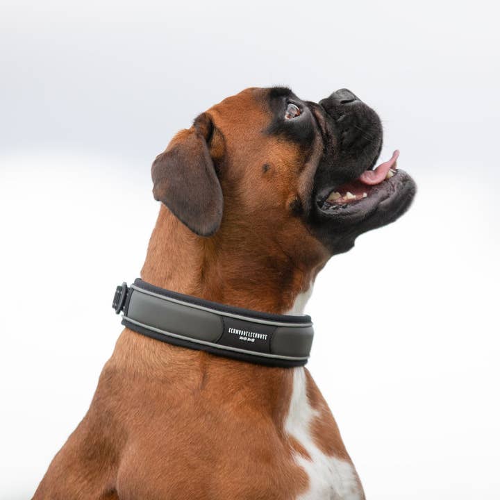 Schmuddelschnute - Wholesale Pet Collar - Dog - Dog Collar "Allwedda" Olive4