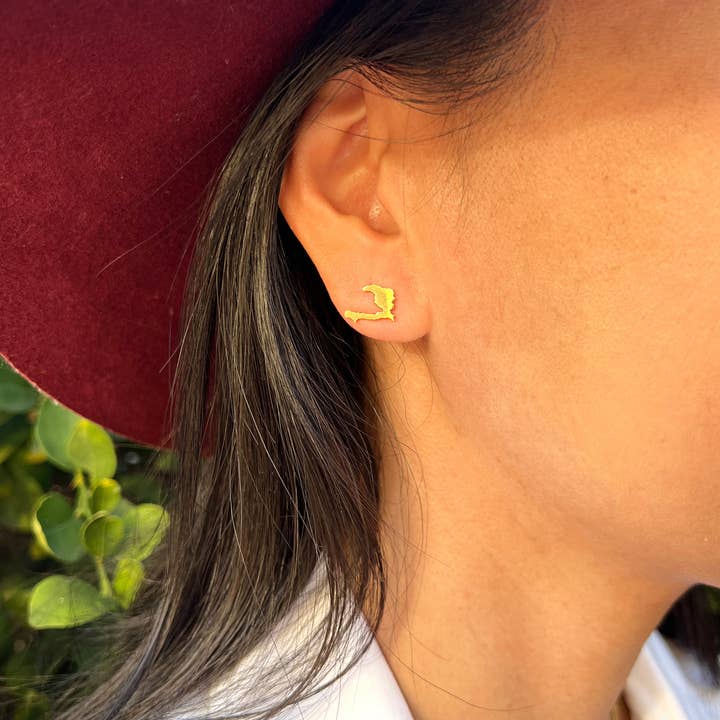 Impactful Market – Brincos de pino por atacado – Legado: Haiti | Brincos3