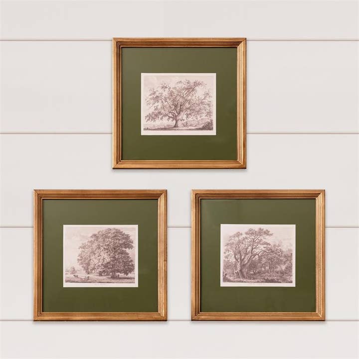 Impression encadrée - Croquis d'arbre avec passe-partout olive (Pk/03 Ast) pour la vente par Audrey's Home & Gift