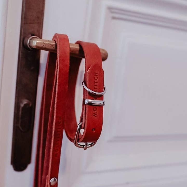 Molly and Stitch - Wholesale Pet Collar - Dog - Butter Leather Dog Collar - Chili Red10