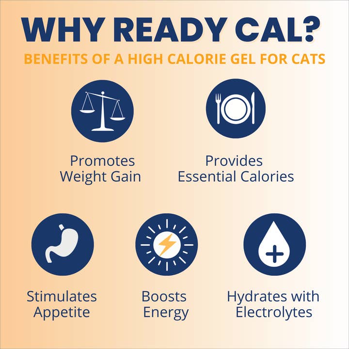 Under the Weather Pet - Wholesale Pet Supplement - Cat - Ready Cal High-Calorie Supplement For Cats + Electrolytes