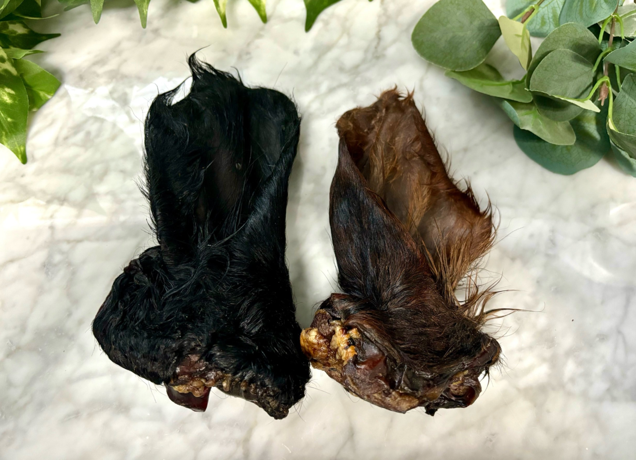 Rocky&Stella’s Treats - Wholesale Pet Treats - Dog - Dehydrated Cow ear 1