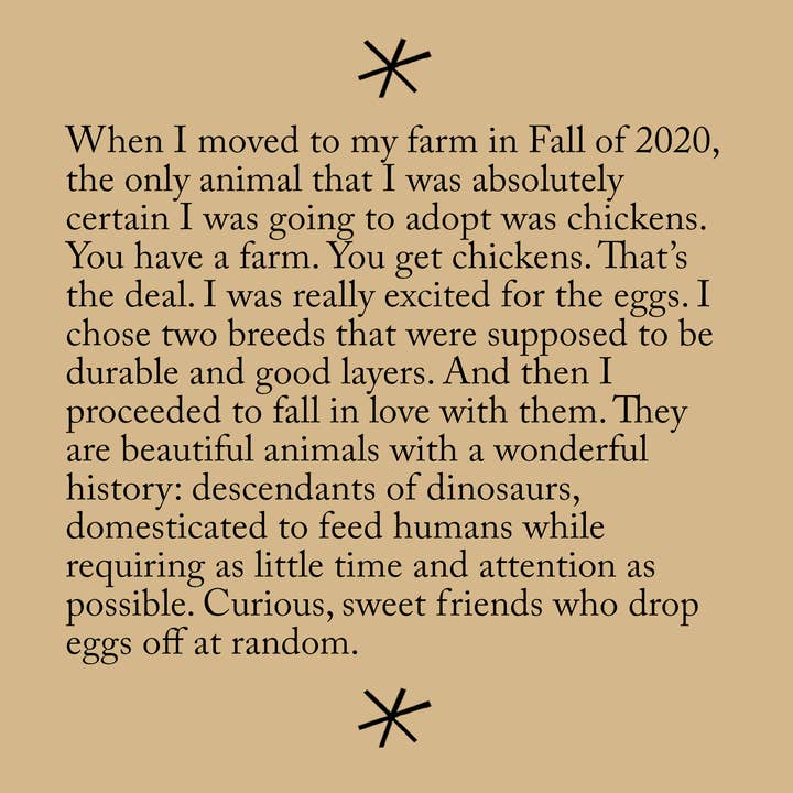 Bottlecap Press – wholesale Book – Adult – Chicken Poems, by Emma Alice Johnson