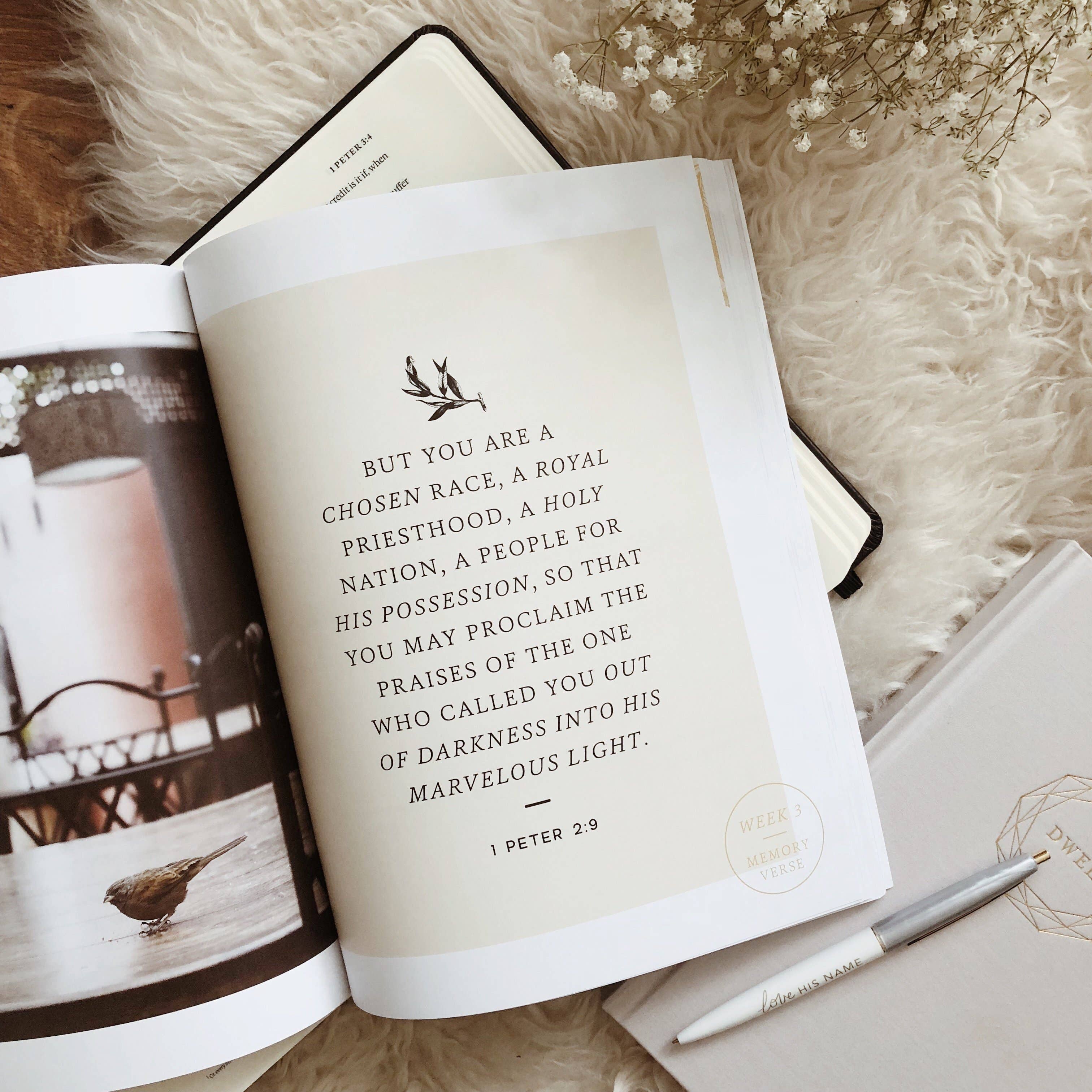 The Daily Grace Co - Wholesale Religion - Grace in the Wilderness | Study on 1 Peter5