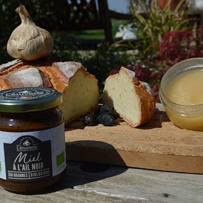Organic Black Garlic Honey for wholesale by L'étuverie