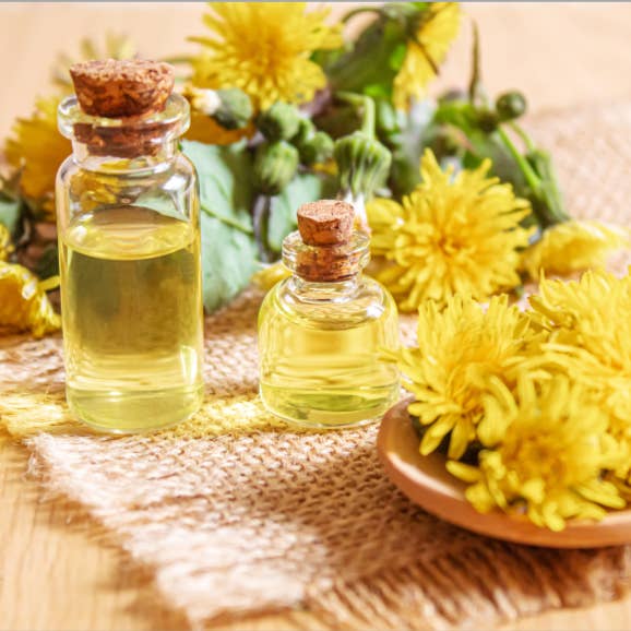 Potion 58 - Wholesale Healing Salve/Balm/Cream - Potion 582