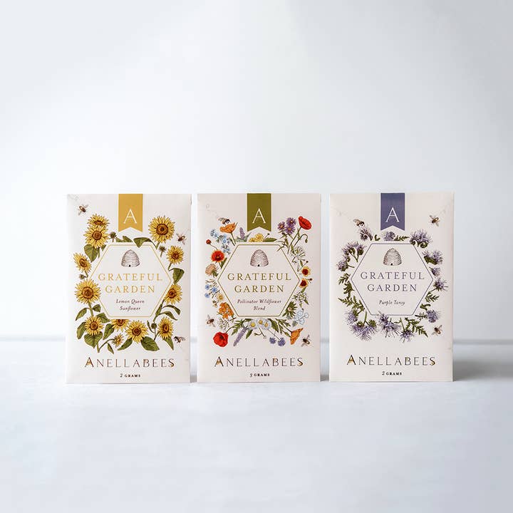 Anellabees - Wholesale Plant Seeds - Spring Purple Tansy Pollinator Garden Seeds5