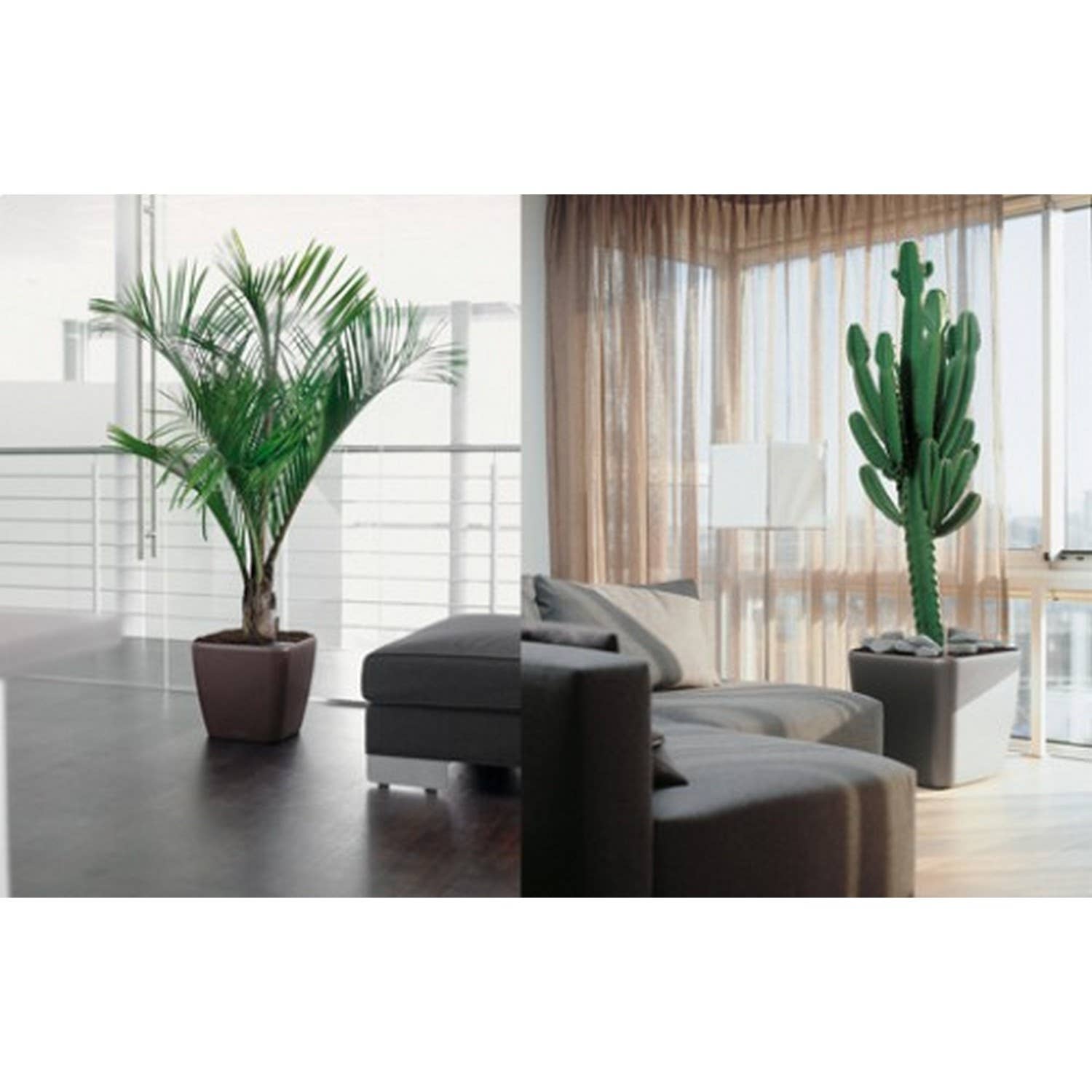 Lechuza Self Watering Planters - Vendita all'ingrosso Vasi per piante - Fioriera quadrata LECHUZA QUADRO LS Poly Resin17
