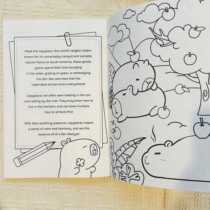 CapyFun - Wholesale Colouring book – Child & baby - Signed Edition: Capybara Zen: A Story and Coloring Book10