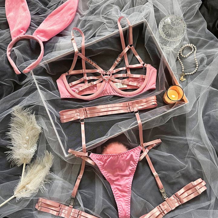 Sweetkama - Wholesale Lingerie Set - Women's - Ladies Dirty Rabbit Costume Open Bra Spicy Lingerie Set SKLG4051