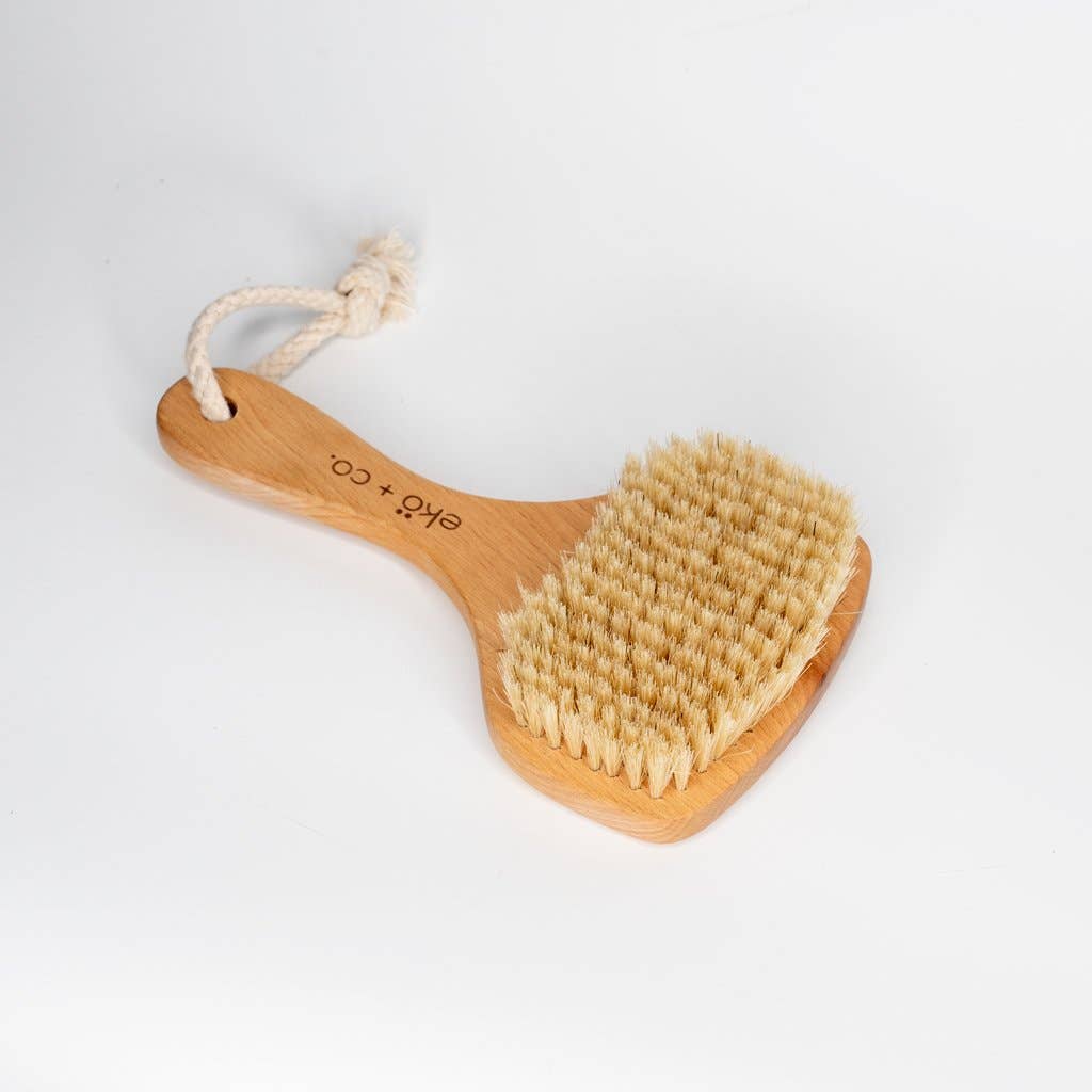 GreenWave - Wholesale Body Brush - Dry body brush (fan shaped) - boar bristles4