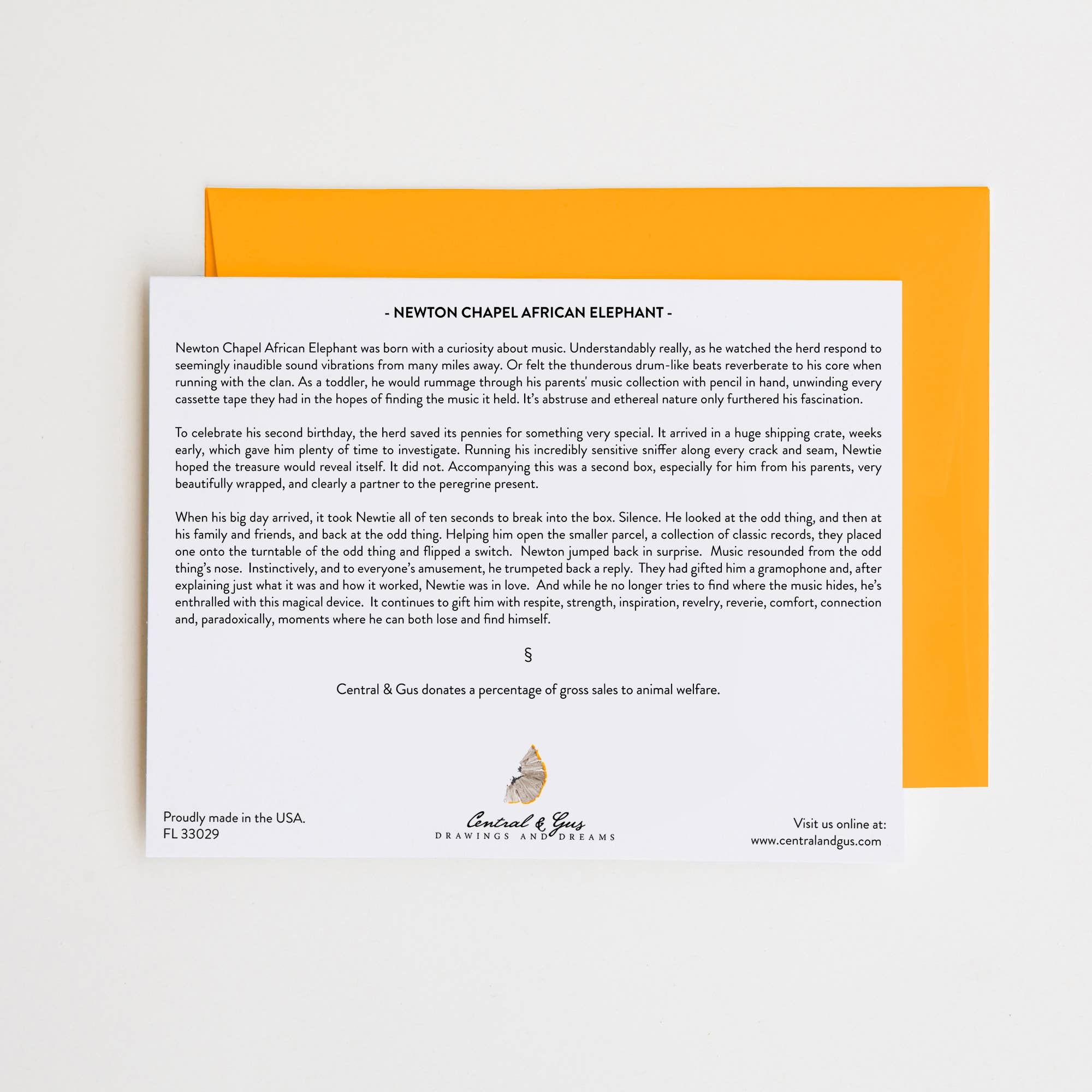 Central & Gus – Engroshandel Hverdagshilsen kort – Newton Kapel Afrikanske Elefant Notekort1